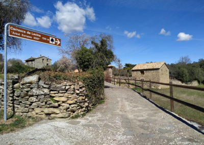 Camino adaptado a la Carrasca de Lecina.