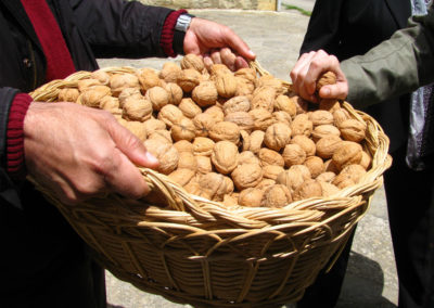 Romería de Santa María de la Nuez